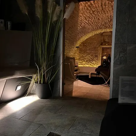 Appartement Maison Stanislas Nancy